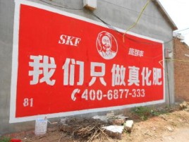 瑞丽刷墙广告”蕴含了时代命题
