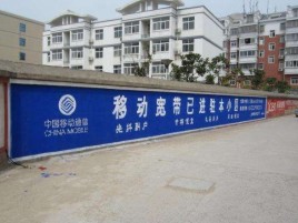 瑞丽如何打造能够“让人记住”的广告