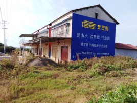 瑞丽必须知道的墙体广告形势