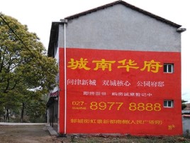 瑞丽百分之90的人都不了解的农村墙体广告
