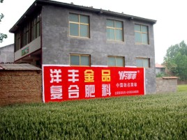 瑞丽如何让墙体广告展现最大化效果