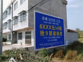 瑞丽墙体广告质量分析