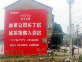 瑞丽墙体广告在乡镇、农村市场的媒体优势
