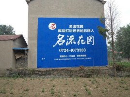 瑞丽农村墙体广告的长尾效应