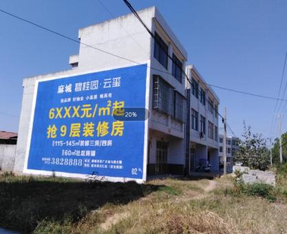 如何策划瑞丽墙体广告的投放？