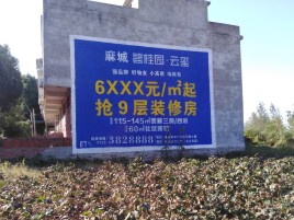瑞丽墙体广告的好处