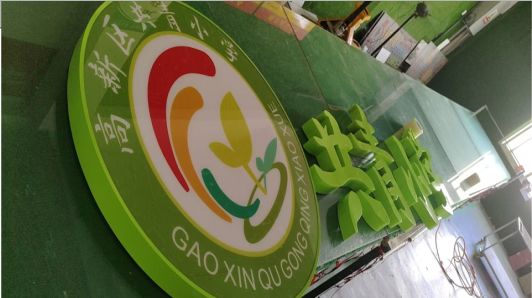瑞丽常见的发光字类型