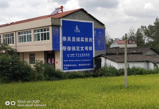 瑞丽决定墙体广告价格的因素有哪些？