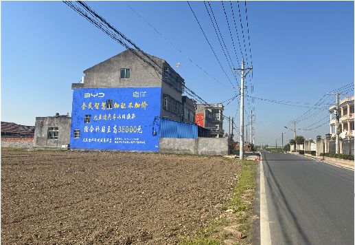 瑞丽墙体广告用的是什么漆？