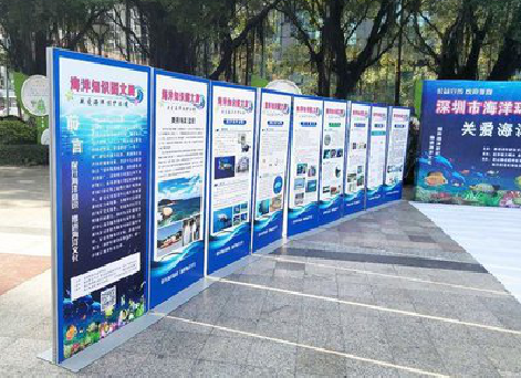 瑞丽KT板的种类和知识。